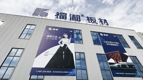 創(chuàng)新齊聚力 同心向未來丨福湘北方臨沂客戶服務(wù)中心成立暨新產(chǎn)品發(fā)布會(huì)圓滿成功